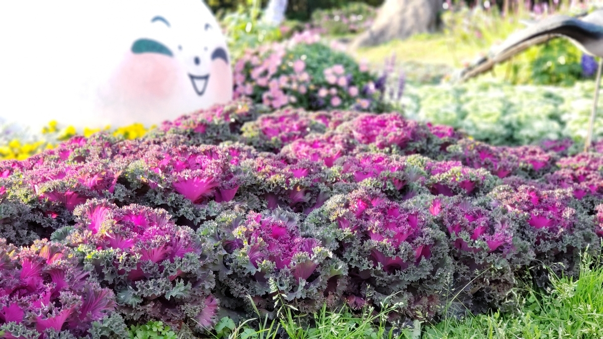 f:id:molitw:20210302123125j:plain