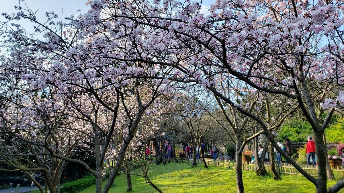 f:id:molitw:20210302123230j:plain