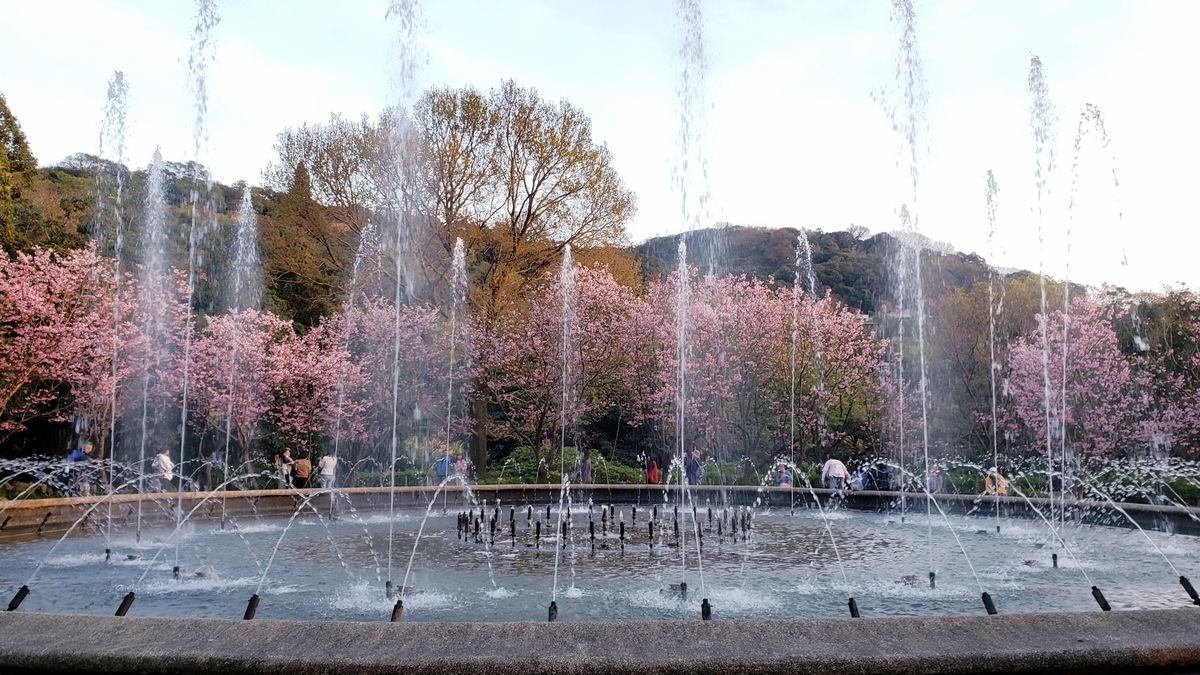 f:id:molitw:20210302123424j:plain