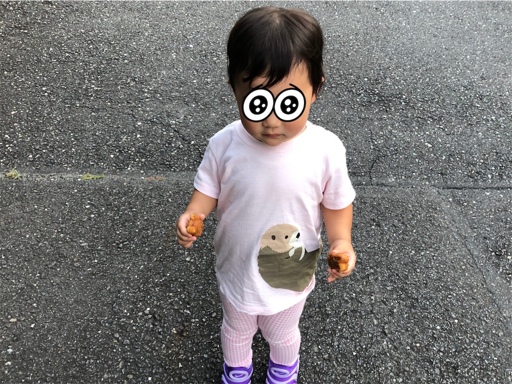 f:id:mollyteddy0922:20190926232520j:image f:id:mollyteddy0922:20190926232520j:image