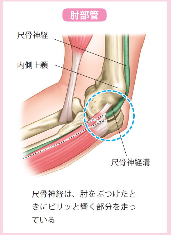 手術体位による末梢神経障害はなぜ起こる 体位固定の工夫とは オペ室ナースの勉強blog