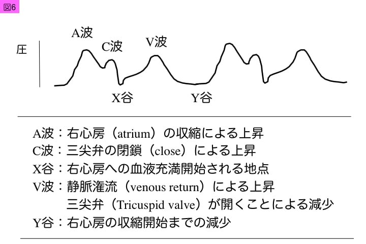 f:id:molsama:20190113090412j:plain