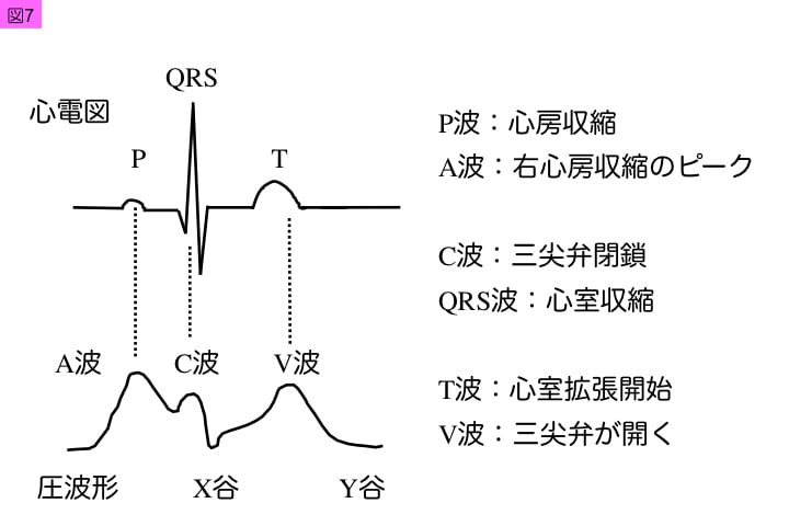 f:id:molsama:20190113090851j:plain