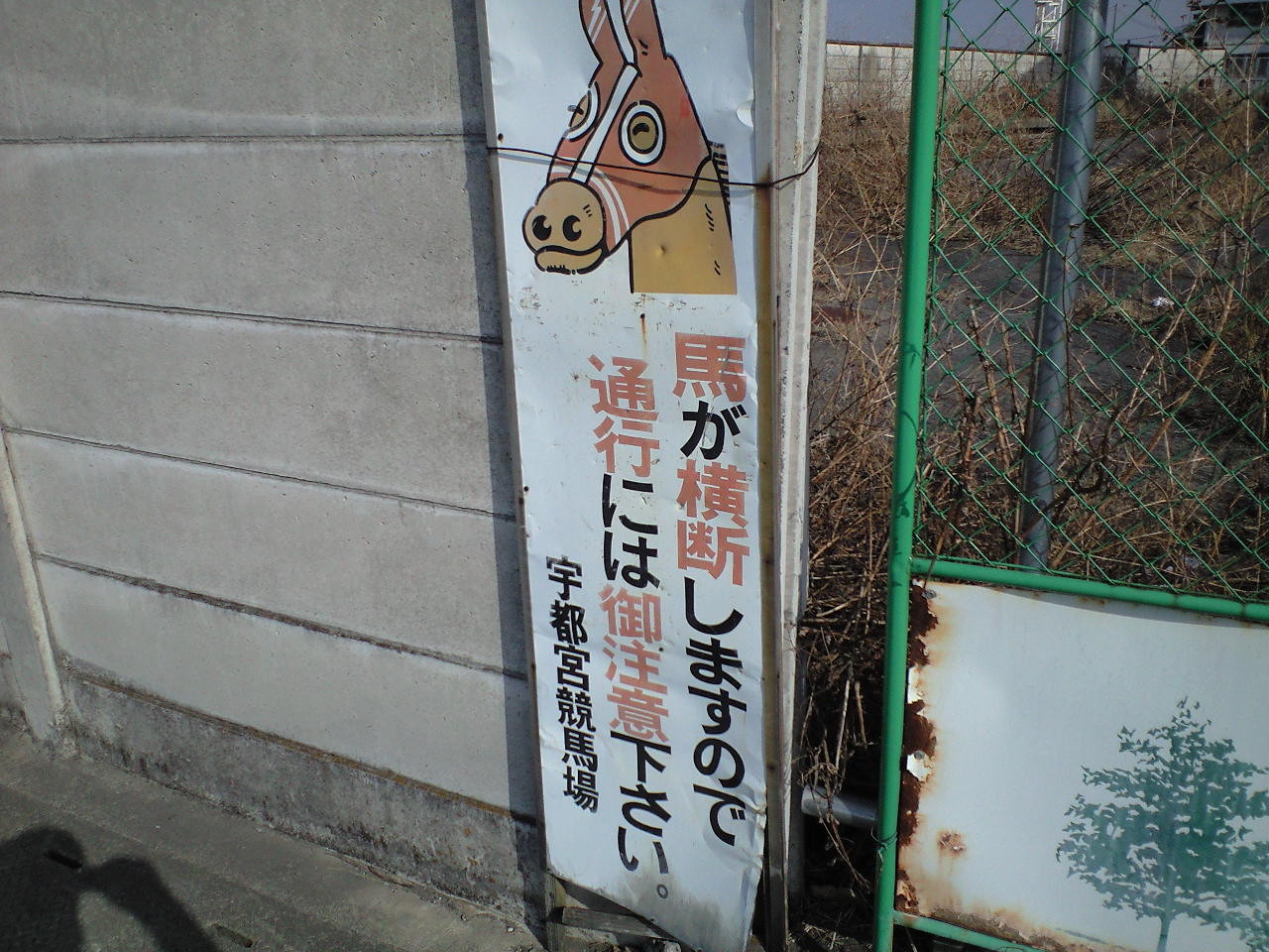 f:id:momdo:20090215133800j:image:w320