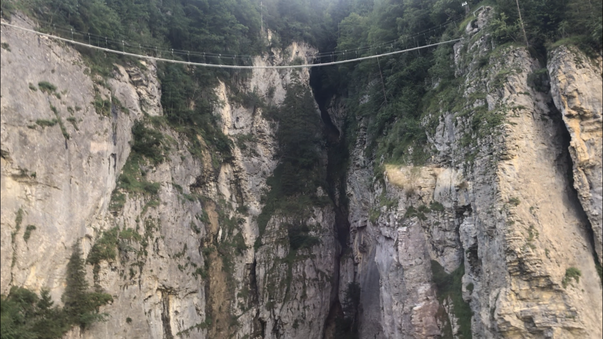 f:id:momerath:20191018123635p:plain