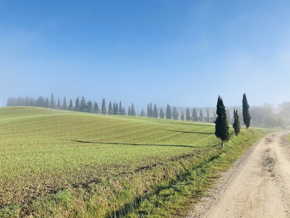 f:id:momerath:20191125035745j:plain