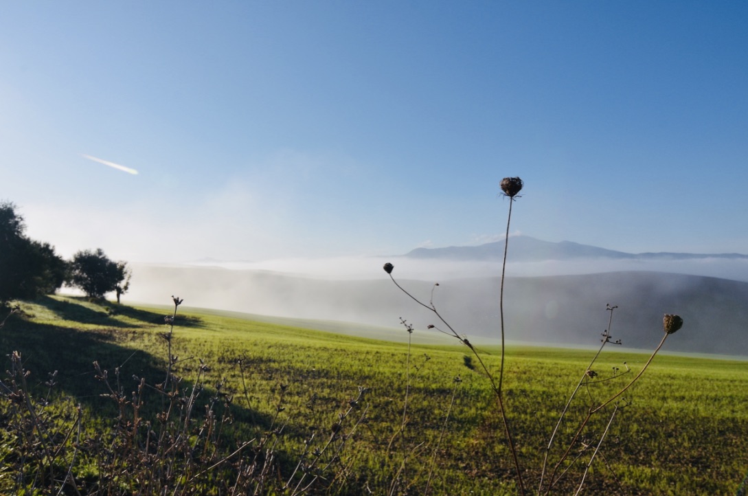 f:id:momerath:20191125040441j:plain