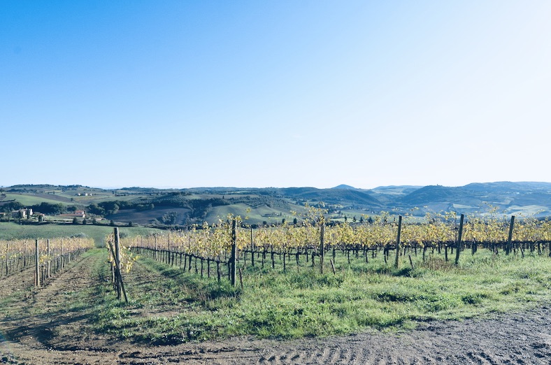 f:id:momerath:20191125040549j:plain