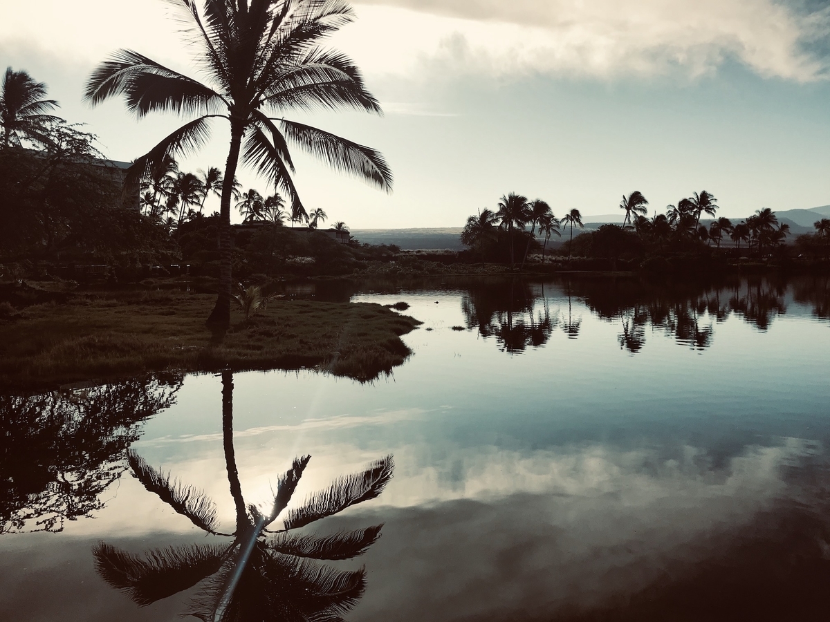 f:id:momerath:20191129233008j:plain