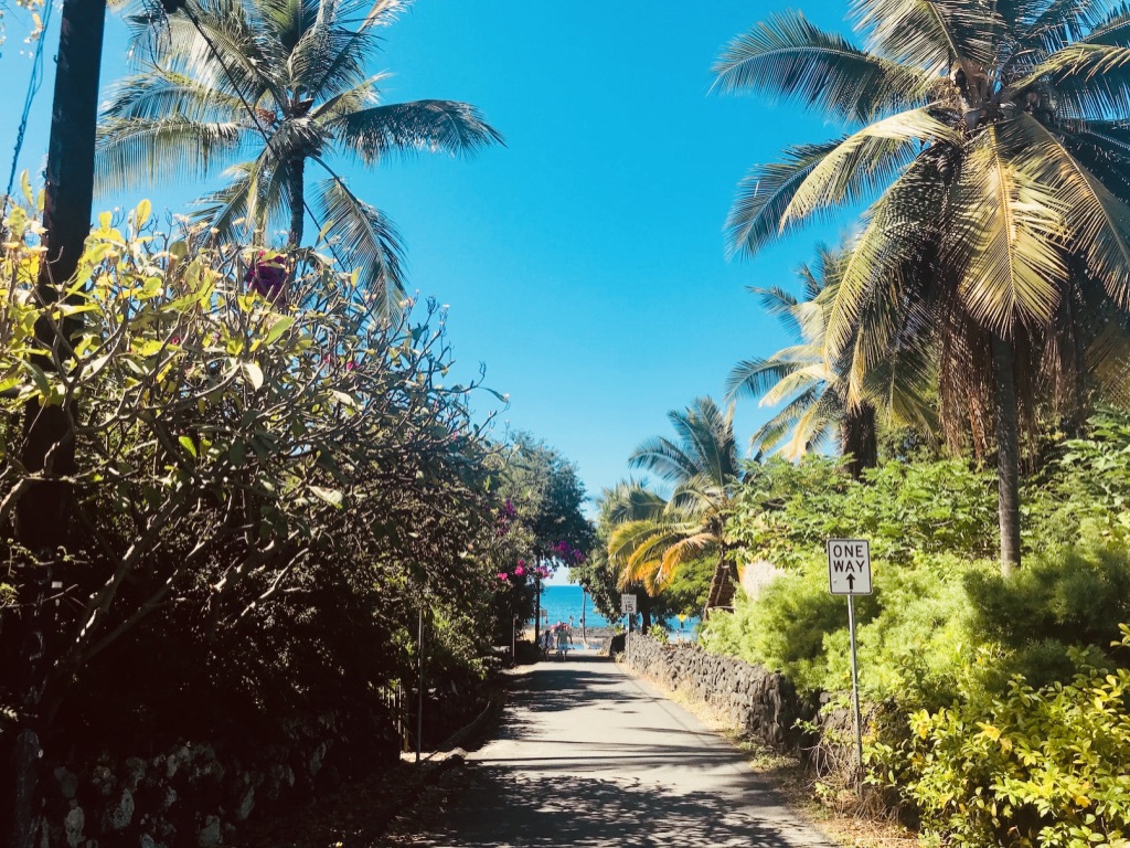 f:id:momerath:20191203072638j:plain