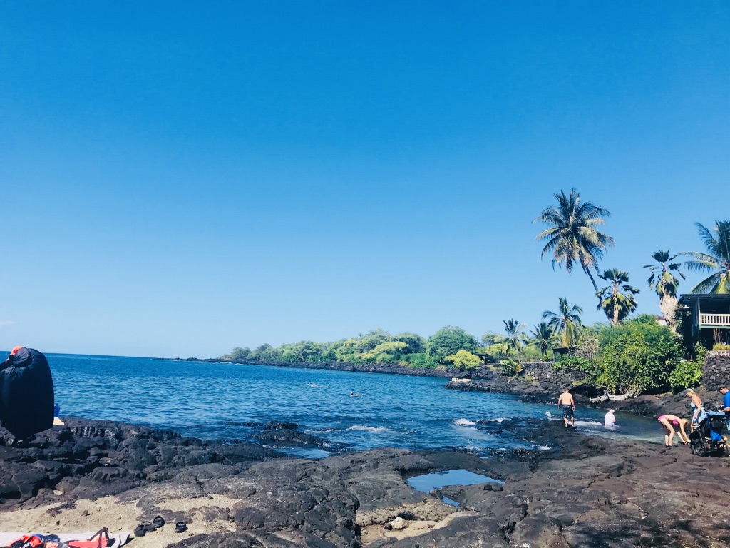 f:id:momerath:20191203072859j:plain