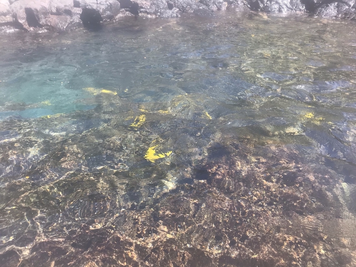 f:id:momerath:20191203080716j:plain