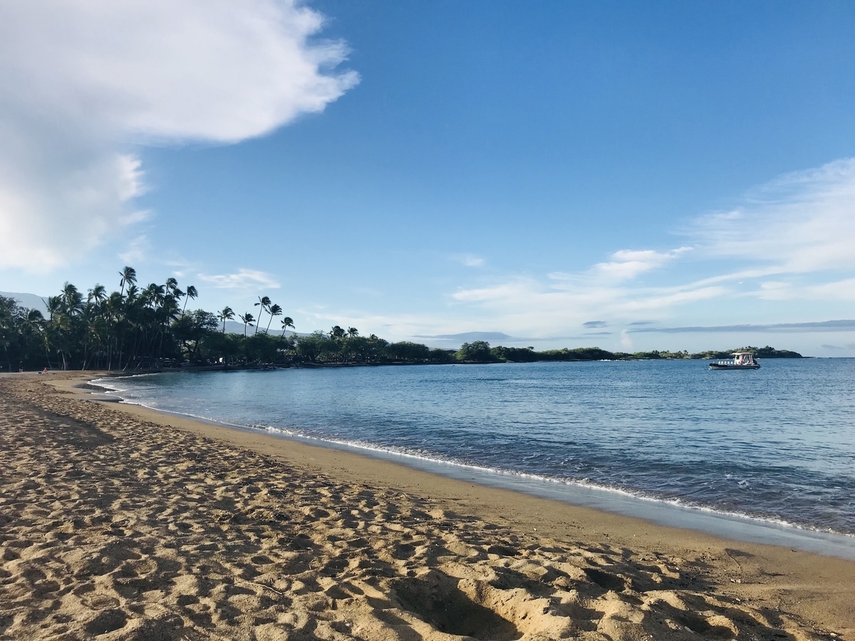 f:id:momerath:20191205024127j:plain