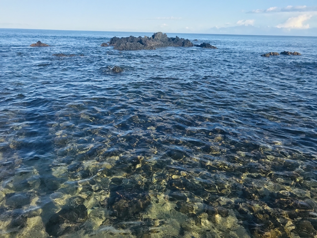 f:id:momerath:20191205030436j:plain