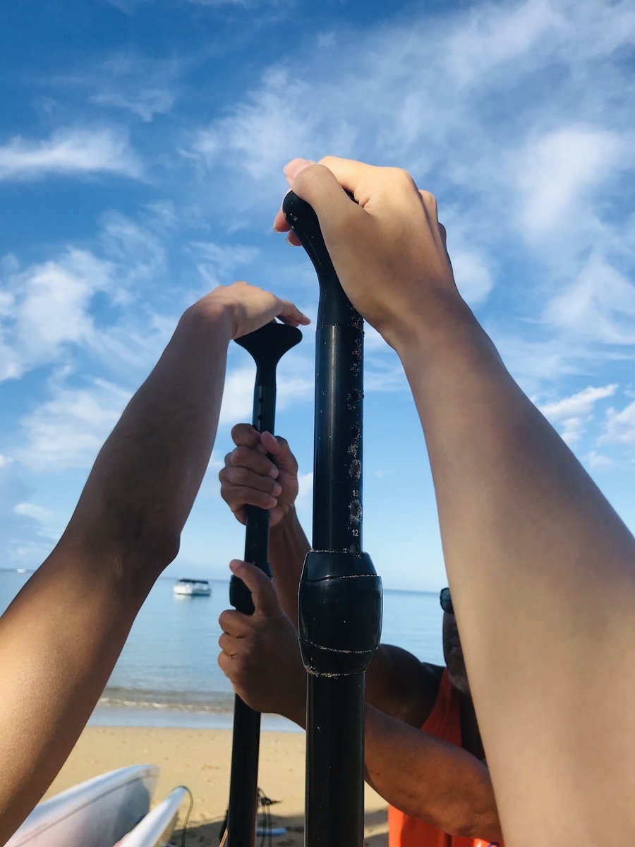 f:id:momerath:20191205035114j:plain