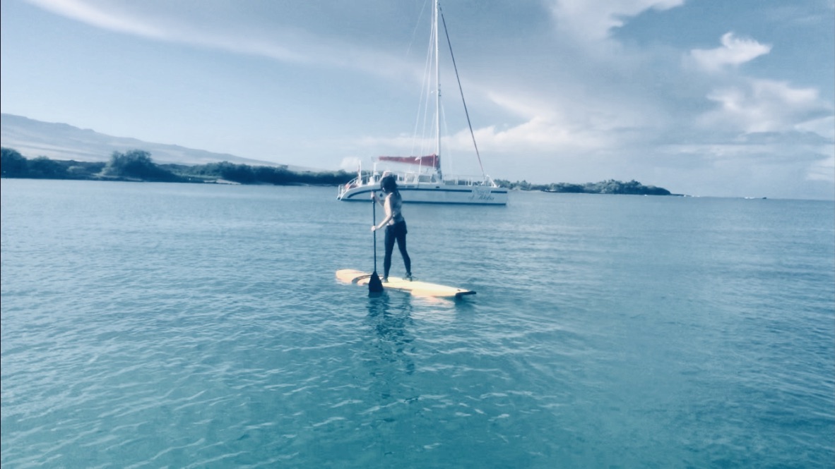 f:id:momerath:20191205040820j:plain