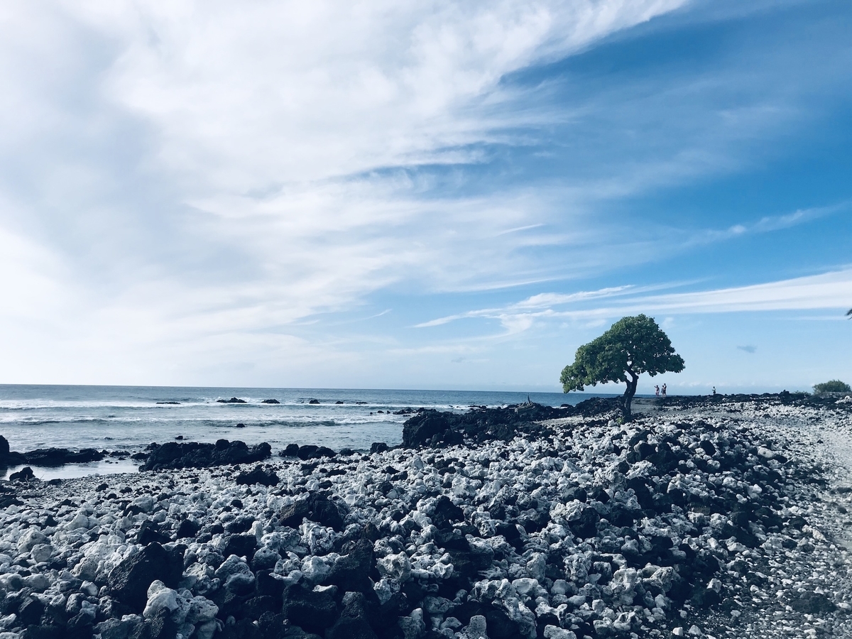 f:id:momerath:20191205052153j:plain