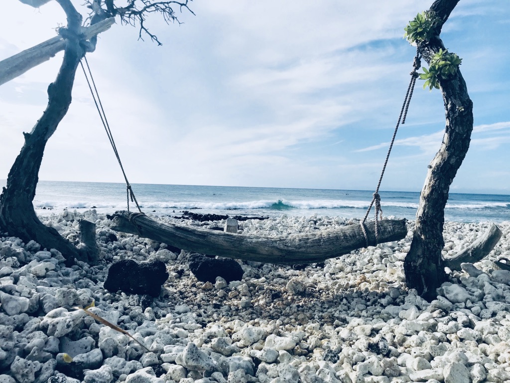 f:id:momerath:20191205052332j:plain