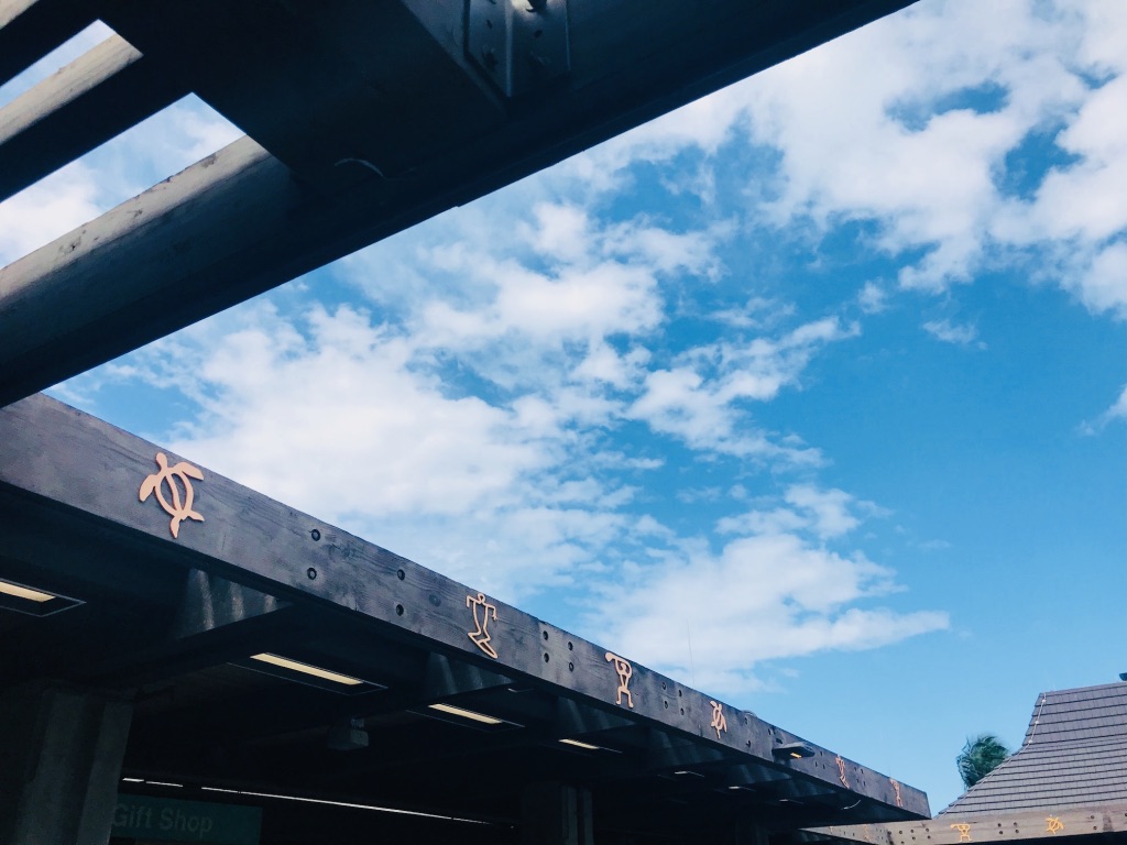 f:id:momerath:20191205054354j:plain