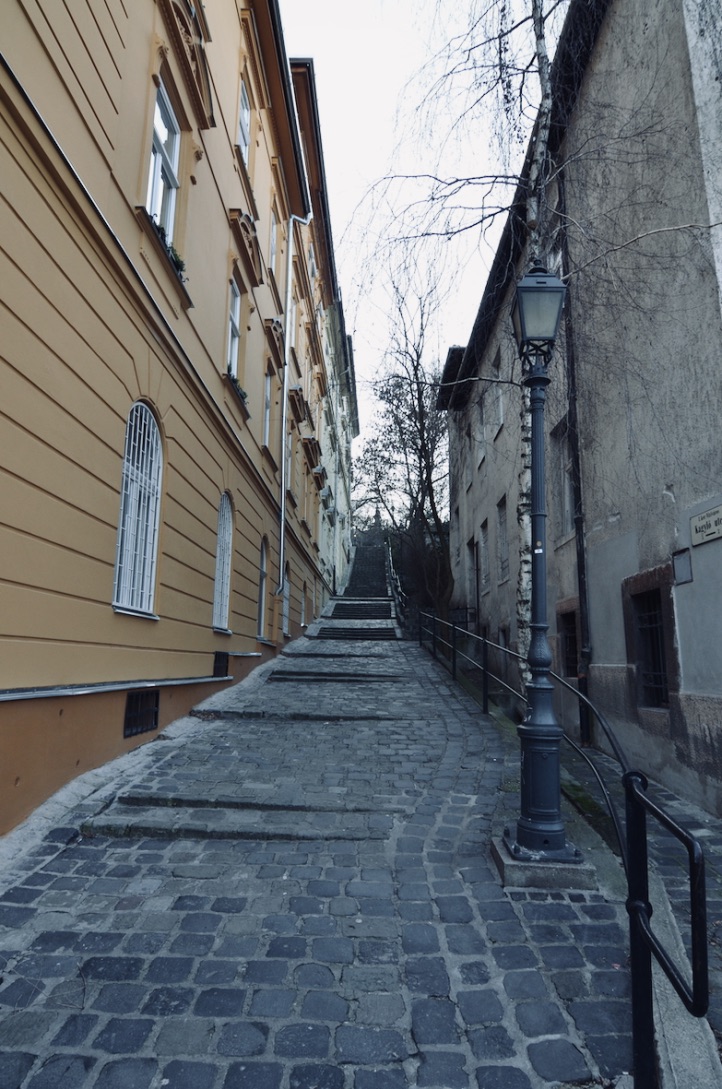 f:id:momerath:20200109012251j:plain