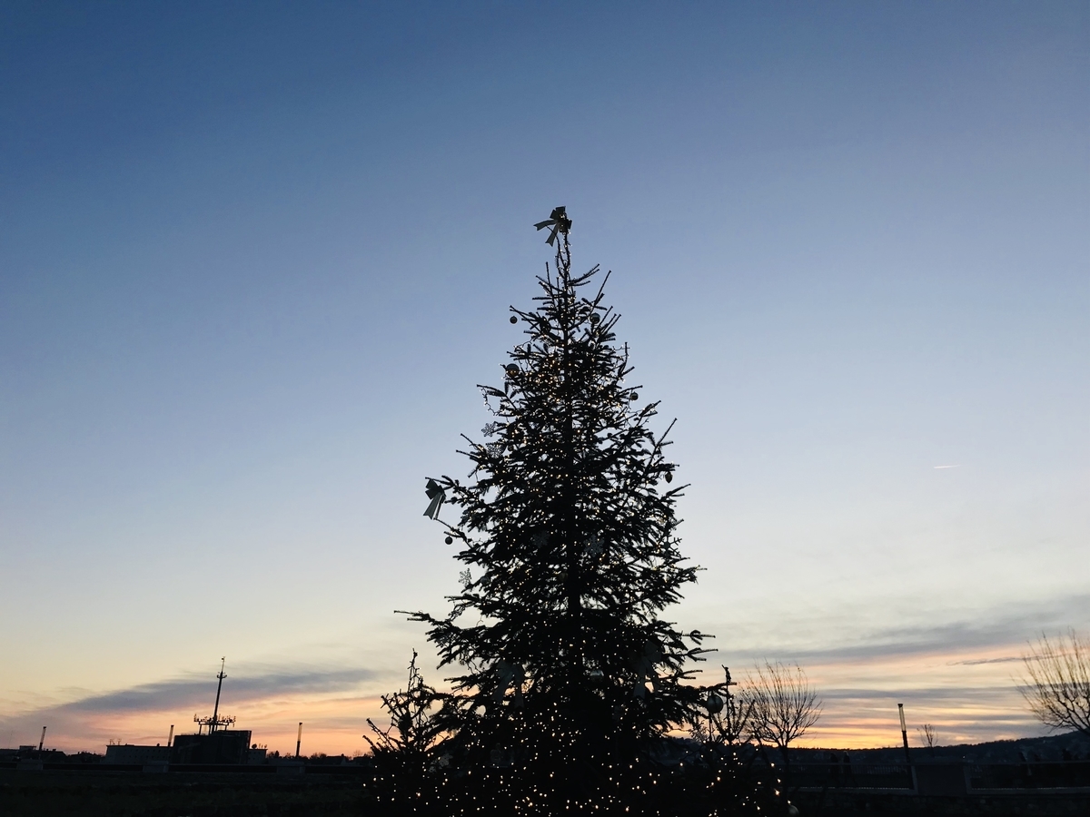 f:id:momerath:20200109014134j:plain