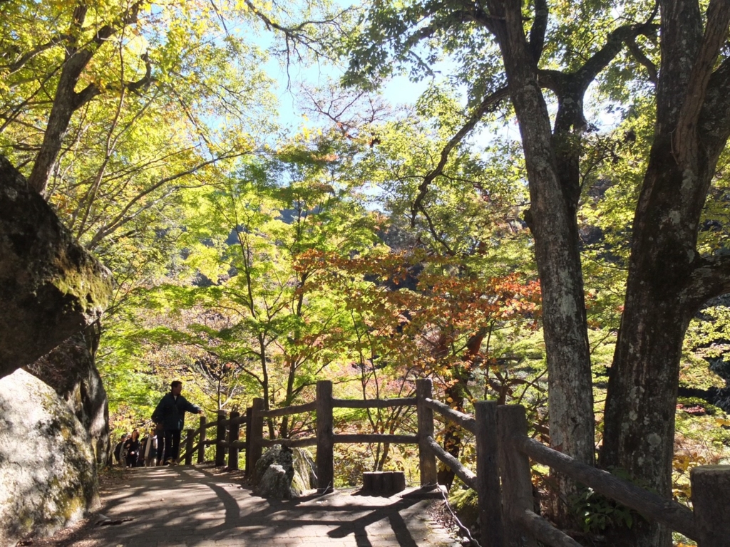 f:id:momiji320:20161106012453j:plain