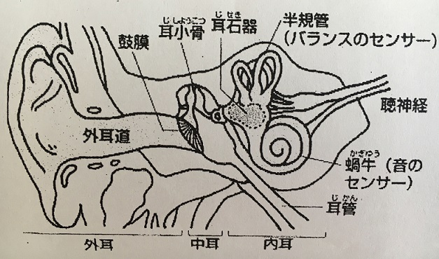 f:id:momijimom:20160409140252j:plain f:id:momijimom:20160409140252j:plain