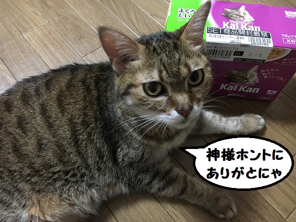 f:id:momijimom:20160801210451j:plain