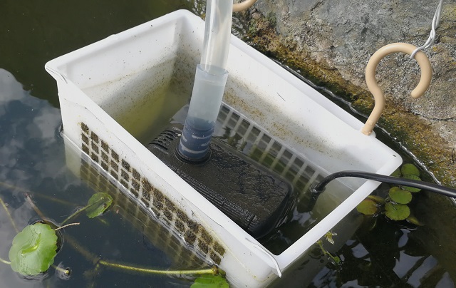 いたします ヤフオク メダカや金魚 錦鯉の飼育に 大型生簀 大型水槽 いです