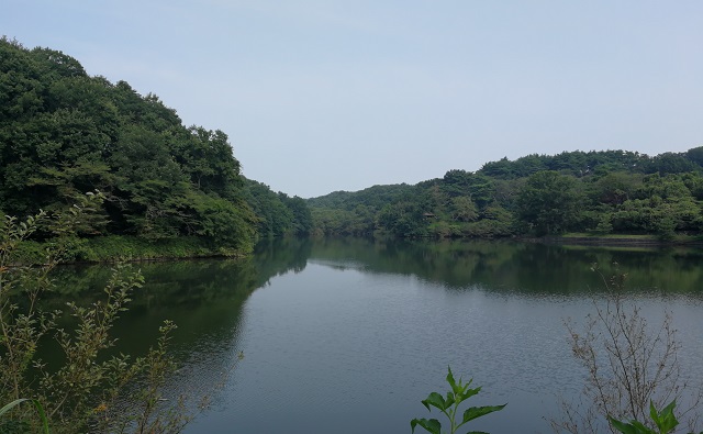 夏の八丁湖