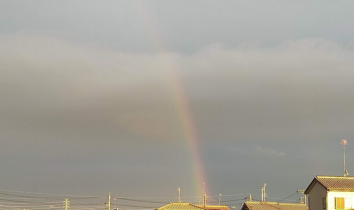 ゲリラ豪雨明けの虹