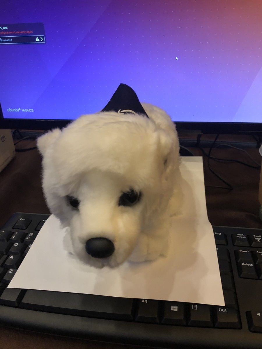 f:id:mominosin:20191202133731j:plain f:id:mominosin:20191202133731j:plain