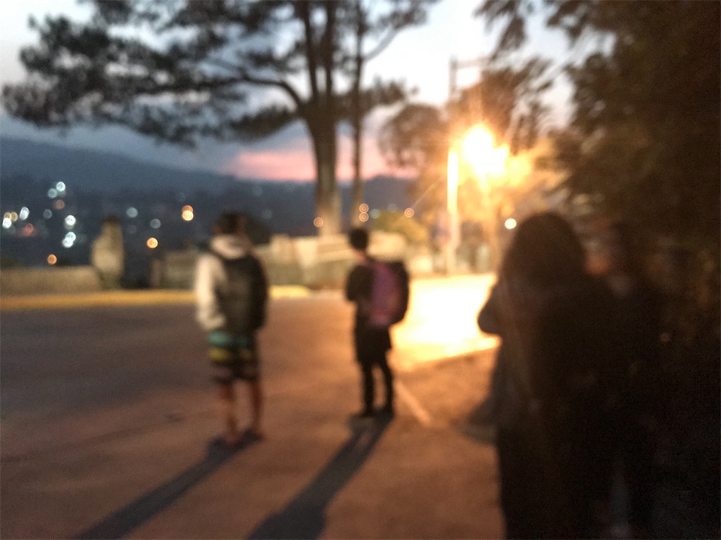 f:id:momitoro02:20190227202251j:image f:id:momitoro02:20190227202251j:image