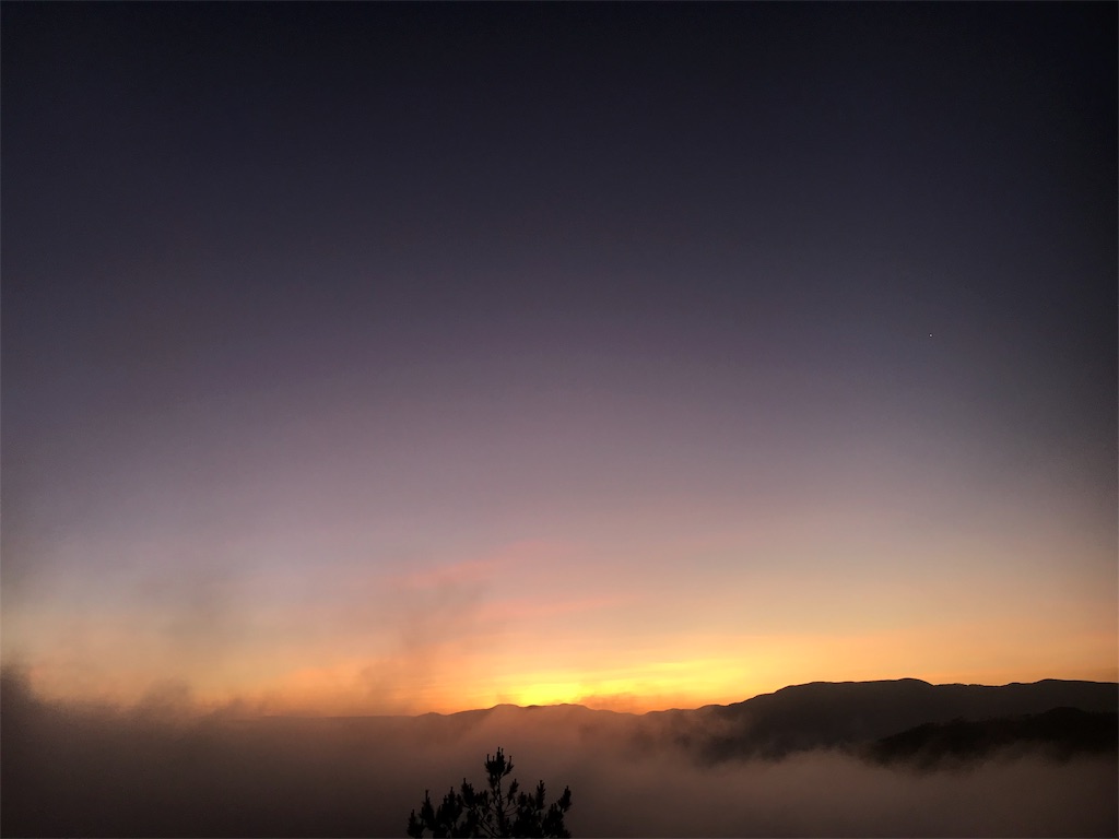 f:id:momitoro02:20190327230402j:image f:id:momitoro02:20190327230402j:image