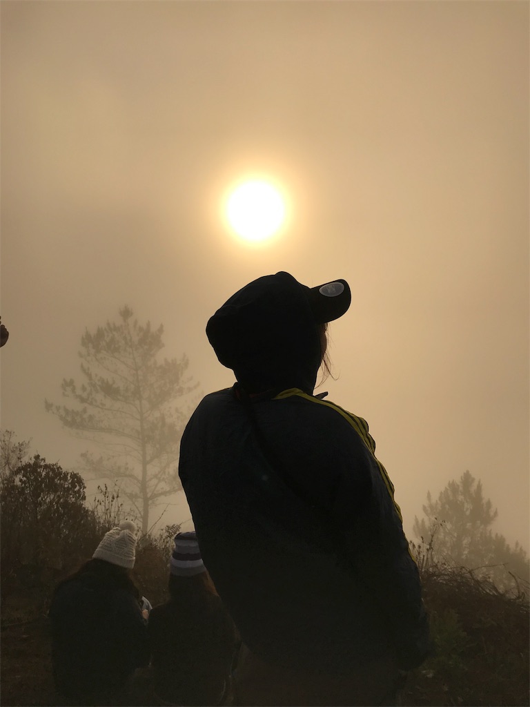 f:id:momitoro02:20190327230525j:image f:id:momitoro02:20190327230525j:image