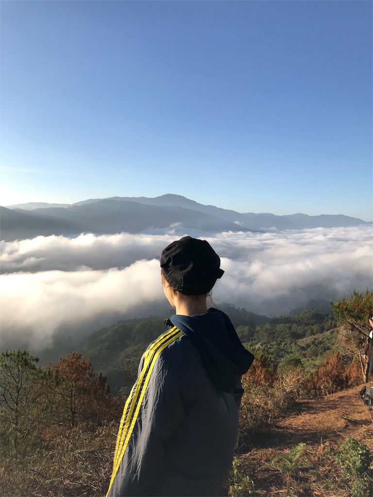 f:id:momitoro02:20190327230626j:image f:id:momitoro02:20190327230626j:image