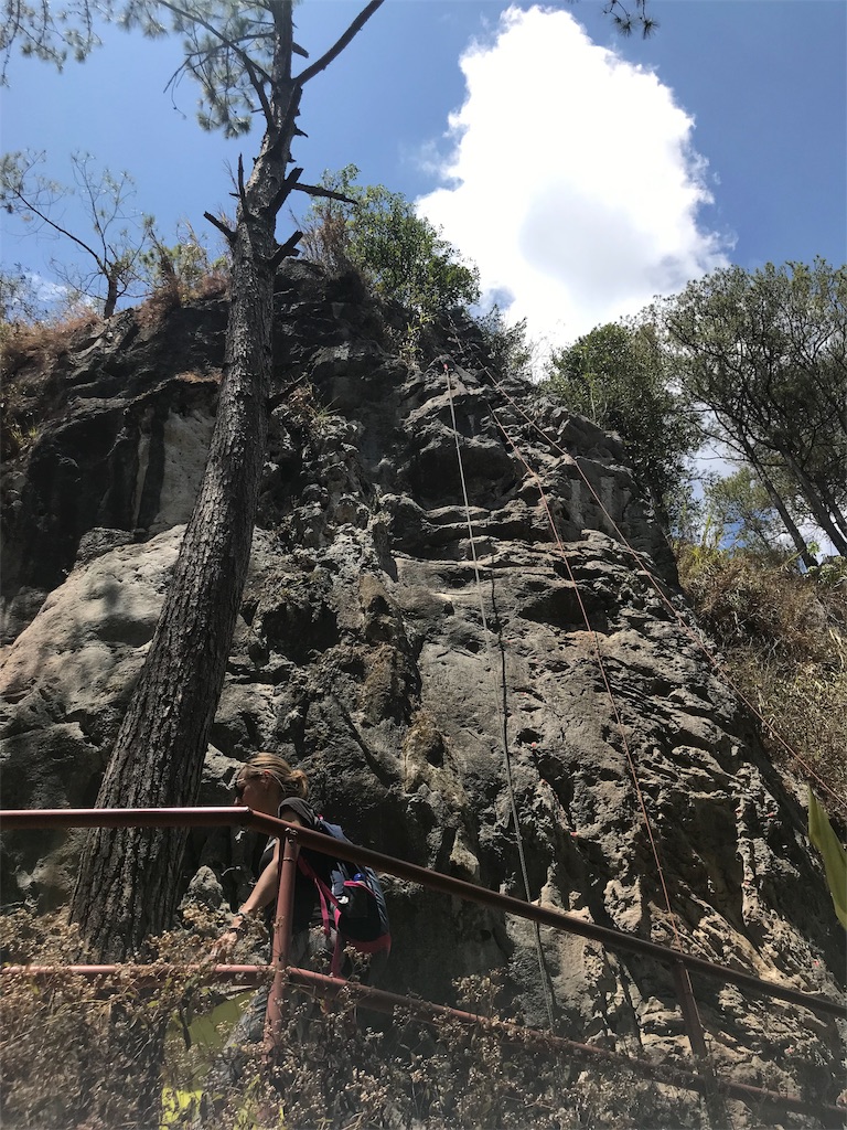 f:id:momitoro02:20190327231554j:image f:id:momitoro02:20190327231554j:image