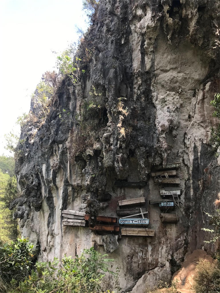 f:id:momitoro02:20190327231742j:image f:id:momitoro02:20190327231742j:image