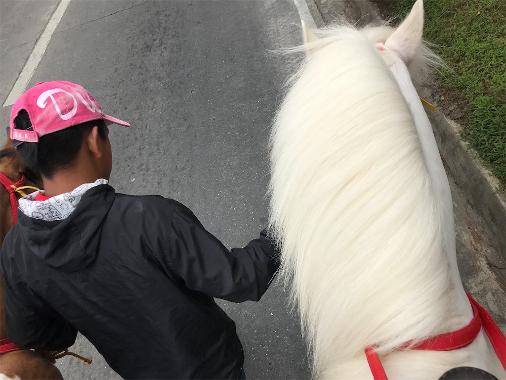f:id:momitoro02:20190402184906j:image f:id:momitoro02:20190402184906j:image