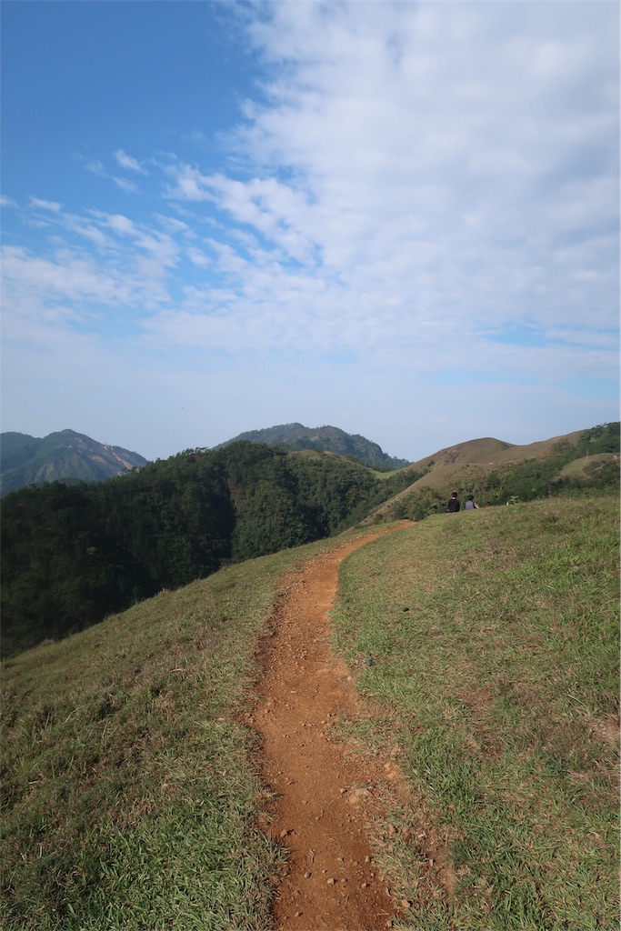f:id:momitoro02:20190505210401j:image f:id:momitoro02:20190505210401j:image