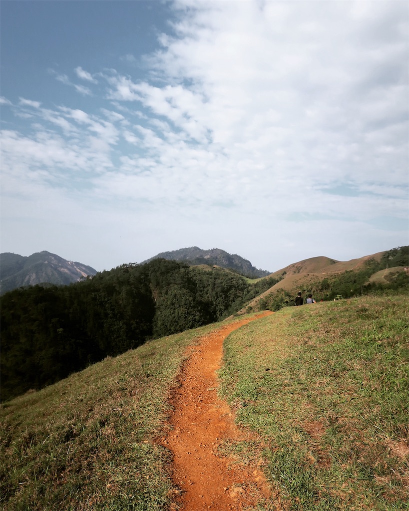 f:id:momitoro02:20190515223705j:image f:id:momitoro02:20190515223705j:image