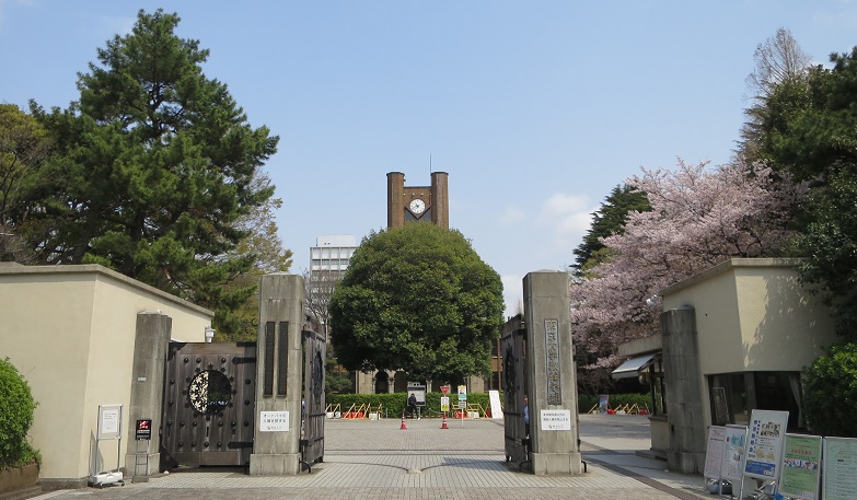 東大駒場キャンパス正門の桜
