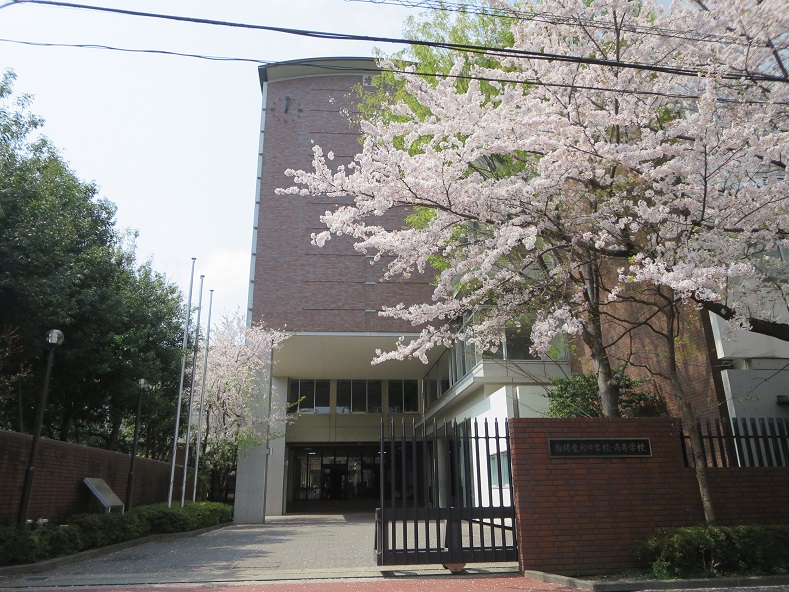 駒場東邦中学高校正門の桜