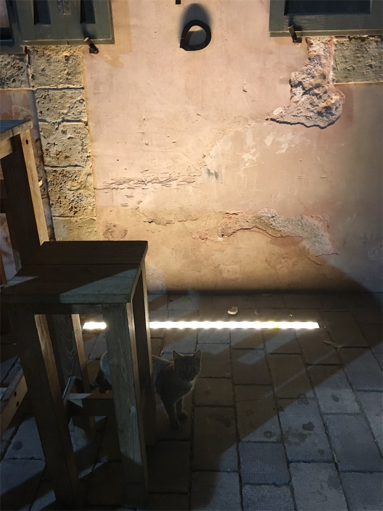 f:id:mommyR:20171107172220j:image