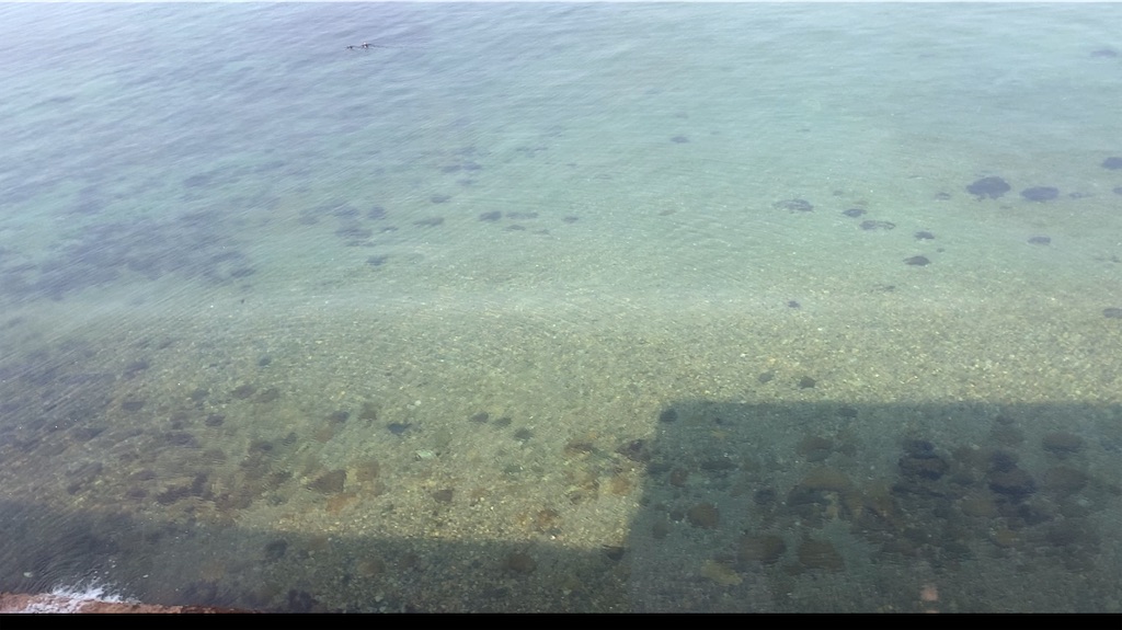 f:id:momo-333:20240121183259j:image