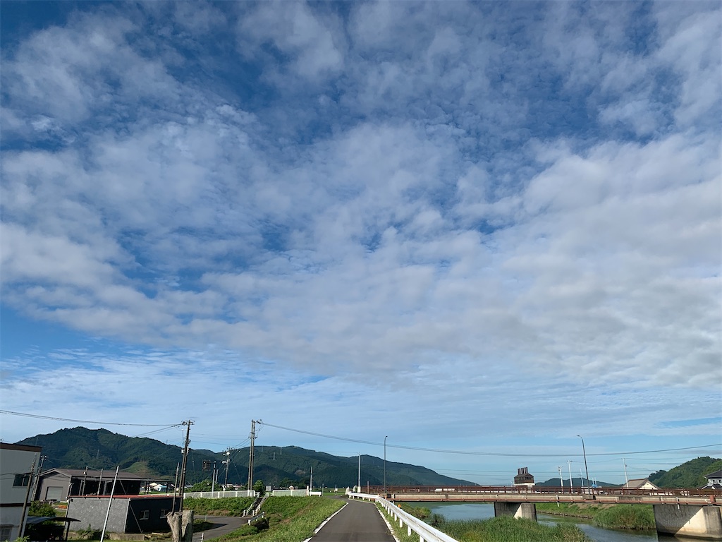 f:id:momo-333:20241209215559j:image