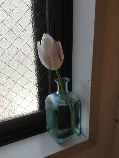 20130210005936