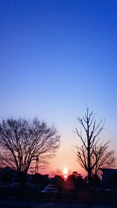 f:id:momo-k3:20110329173800j:image