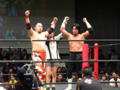 [DDT20081228]