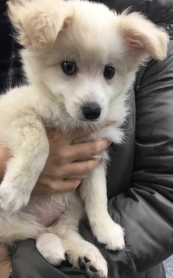 f:id:momo1105hana:20180907232439j:plain f:id:momo1105hana:20180907232439j:plain